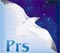Pagnanelli Risk Solutions Ltd